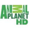 Animal planet